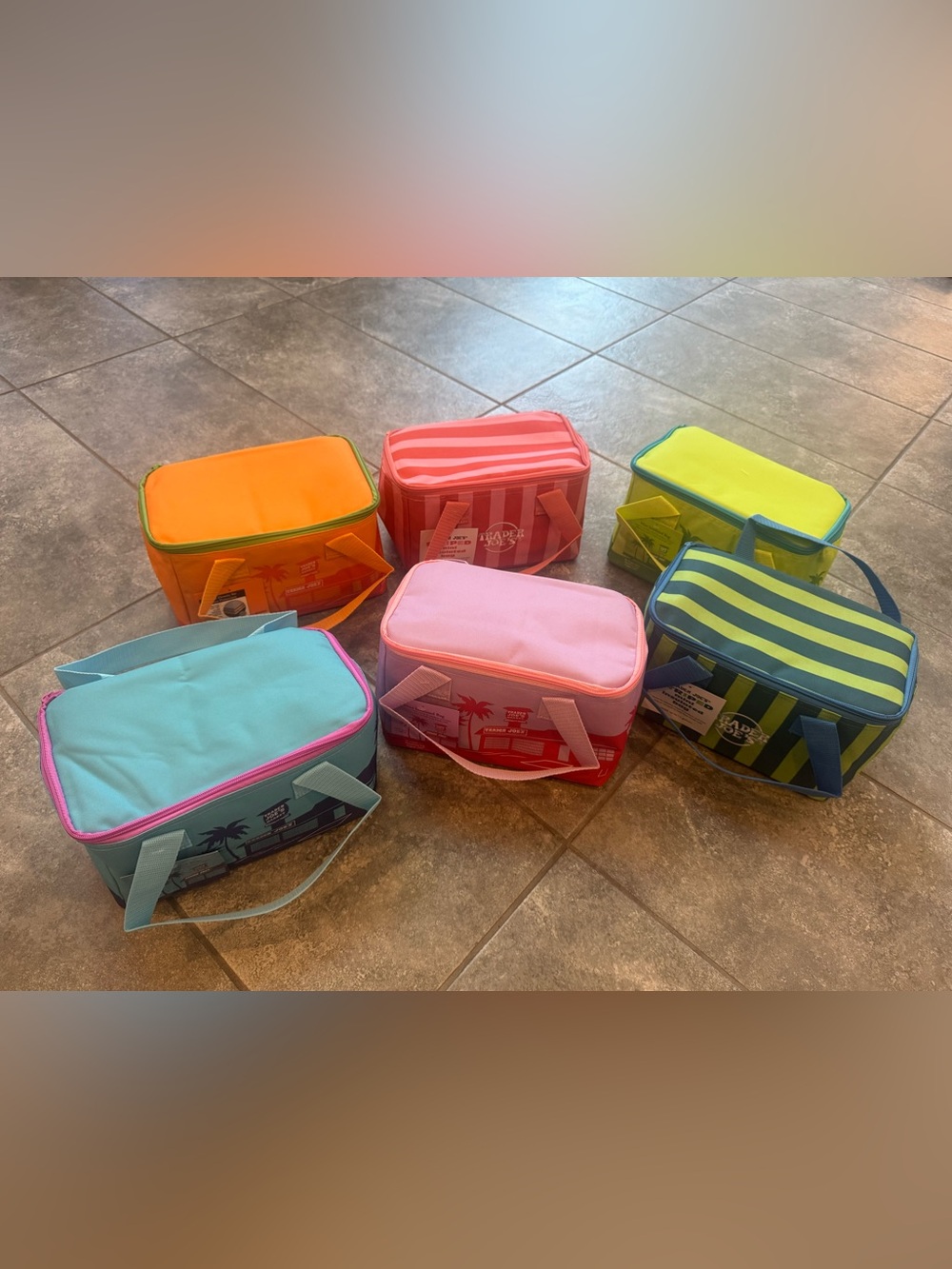 Trader Joe’s Set of 6 colorful mini insulated bags
